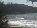 ./images/calvert/beach/20210426/beach20210426_141002.jpg