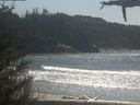 ./images/calvert/beach/20210426/beach20210426_142001.jpg