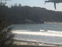 ./images/calvert/beach/20210426/beach20210426_144002.jpg