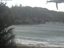 ./images/calvert/beach/20210427/beach20210427_134503.jpg