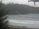 ./images/calvert/beach/20210427/beach20210427_150502.jpg