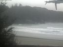 ./images/calvert/beach/20210428/beach20210428_130502.jpg