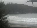 ./images/calvert/beach/20210428/beach20210428_135002.jpg