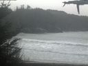 ./images/calvert/beach/20210428/beach20210428_145002.jpg