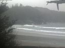 ./images/calvert/beach/20210430/beach20210430_144002.jpg