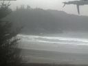 ./images/calvert/beach/20210430/beach20210430_145002.jpg