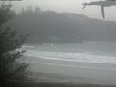 ./images/calvert/beach/20210430/beach20210430_153502.jpg