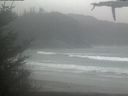 ./images/calvert/beach/20210430/beach20210430_154502.jpg