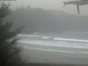 ./images/calvert/beach/20210430/beach20210430_155002.jpg