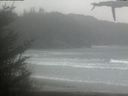 ./images/calvert/beach/20210430/beach20210430_155501.jpg