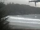 ./images/calvert/beach/20210430/beach20210430_165003.jpg