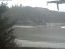 ./images/calvert/beach/20210501/beach20210501_104503.jpg