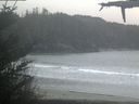 ./images/calvert/beach/20210503/beach20210503_071003.jpg