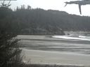 ./images/calvert/beach/20210503/beach20210503_154501.jpg