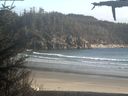 ./images/calvert/beach/20210503/beach20210503_184502.jpg
