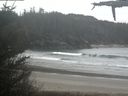 ./images/calvert/beach/20210504/beach20210504_091502.jpg