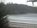 ./images/calvert/beach/20210506/beach20210506_111503.jpg