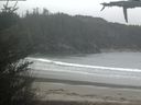 ./images/calvert/beach/20210506/beach20210506_115501.jpg