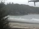./images/calvert/beach/20210506/beach20210506_120502.jpg