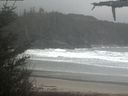 ./images/calvert/beach/20210507/beach20210507_100502.jpg