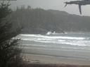 ./images/calvert/beach/20210507/beach20210507_101503.jpg