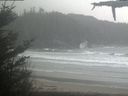 ./images/calvert/beach/20210507/beach20210507_102502.jpg