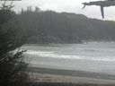 ./images/calvert/beach/20210507/beach20210507_113503.jpg