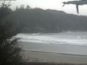 ./images/calvert/beach/20210507/beach20210507_122002.jpg