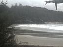./images/calvert/beach/20210507/beach20210507_134502.jpg