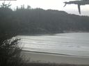 ./images/calvert/beach/20210508/beach20210508_111003.jpg