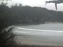 ./images/calvert/beach/20210508/beach20210508_123503.jpg