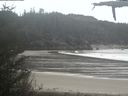 ./images/calvert/beach/20210508/beach20210508_153502.jpg