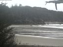 ./images/calvert/beach/20210508/beach20210508_160502.jpg