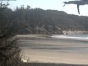 ./images/calvert/beach/20210509/beach20210509_165503.jpg