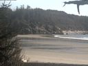 ./images/calvert/beach/20210509/beach20210509_171503.jpg