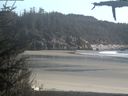 ./images/calvert/beach/20210509/beach20210509_175502.jpg