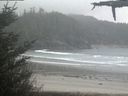 ./images/calvert/beach/20210511/beach20210511_160503.jpg