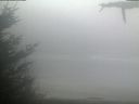 ./images/calvert/beach/20210512/beach20210512_060502.jpg