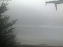 ./images/calvert/beach/20210512/beach20210512_061003.jpg