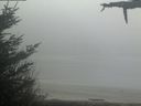 ./images/calvert/beach/20210512/beach20210512_072002.jpg