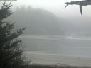 ./images/calvert/beach/20210512/beach20210512_101503.jpg