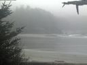 ./images/calvert/beach/20210512/beach20210512_102003.jpg
