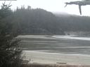 ./images/calvert/beach/20210512/beach20210512_104502.jpg