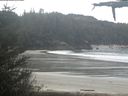 ./images/calvert/beach/20210512/beach20210512_113502.jpg