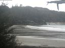 ./images/calvert/beach/20210512/beach20210512_114503.jpg