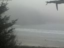 ./images/calvert/beach/20210512/beach20210512_135003.jpg