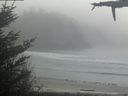 ./images/calvert/beach/20210512/beach20210512_142002.jpg