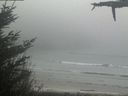 ./images/calvert/beach/20210512/beach20210512_144503.jpg