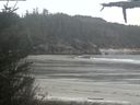 ./images/calvert/beach/20210512/beach20210512_200503.jpg
