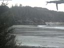 ./images/calvert/beach/20210512/beach20210512_201003.jpg